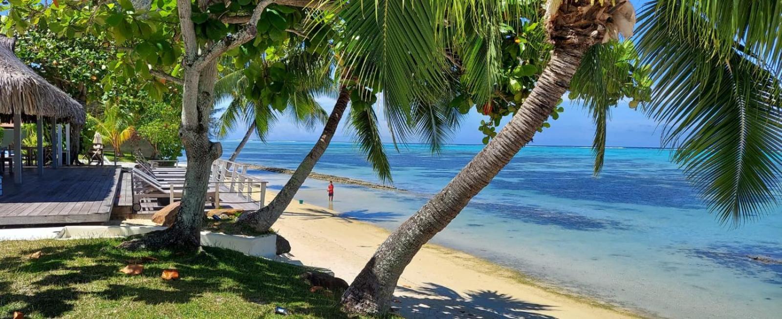Moorea Island Beach Hotel エクステリア 写真