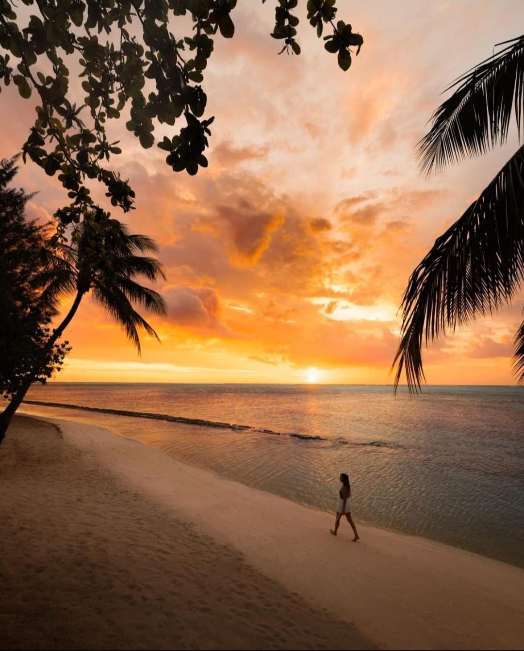 Moorea Island Beach Hotel エクステリア 写真